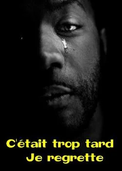 Couverture du roman C'était trop tard, je regrette