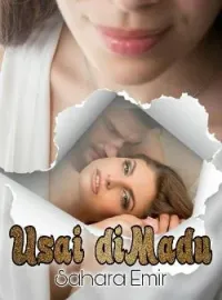 Sampul Novel Usai Dimadu