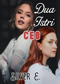 Sampul Novel Dua Istri CEO: Istri Simpanan Suamiku