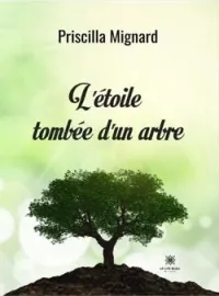 Couverture du roman L'étoile tombée d'un arbre