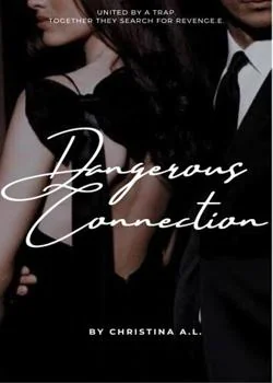 Capa do romance Dangerous Connectiion