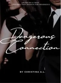 Capa do romance Dangerous Connectiion