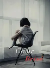 Couverture du roman Le cœur brisé