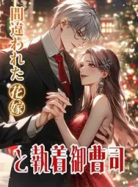 間違われた花嫁と執着御曹司 の小説カバー