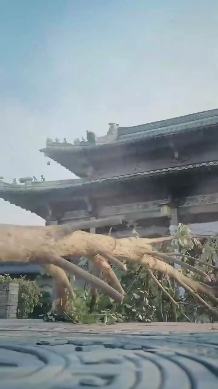 愚者伝説～天下を取るバカ～写真