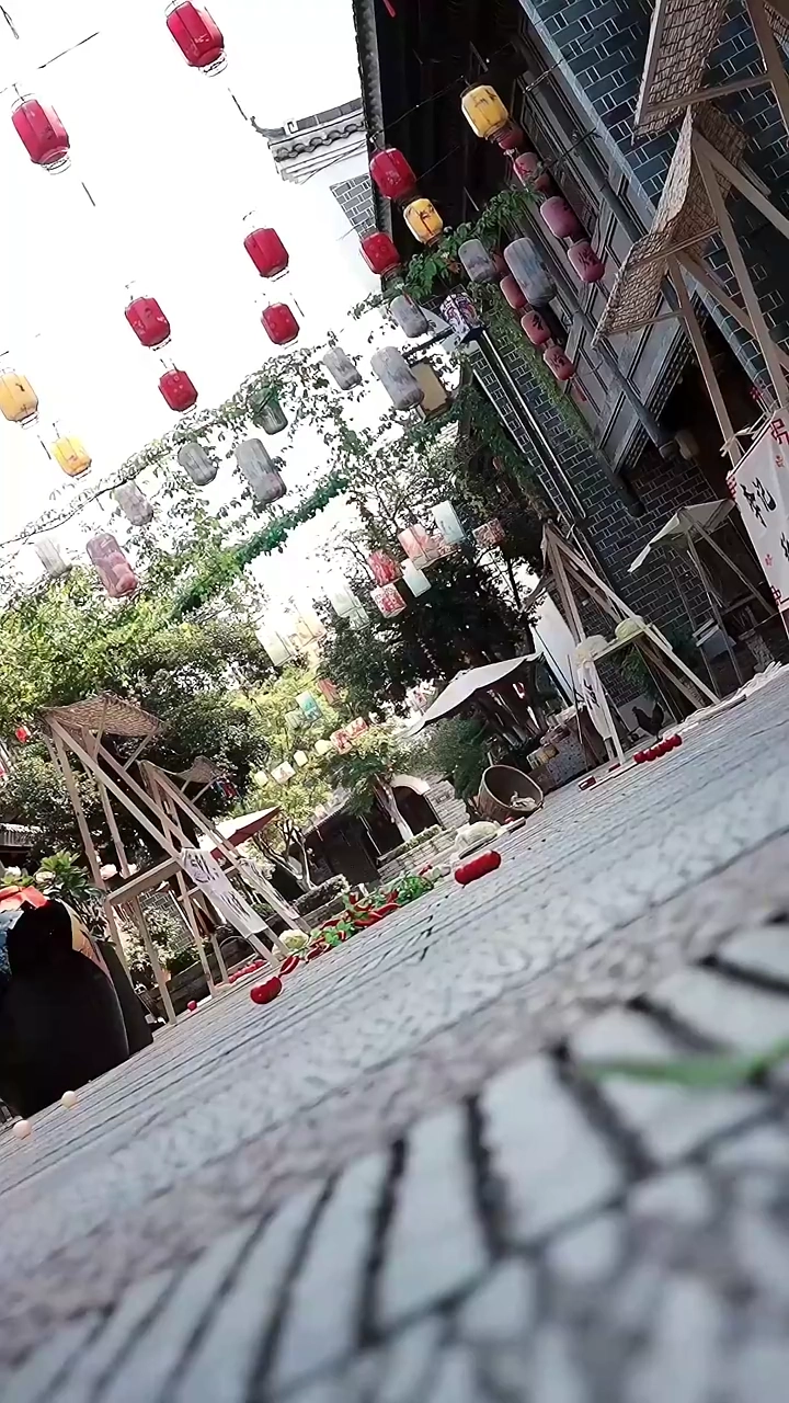 頑張れ、先祖様！写真