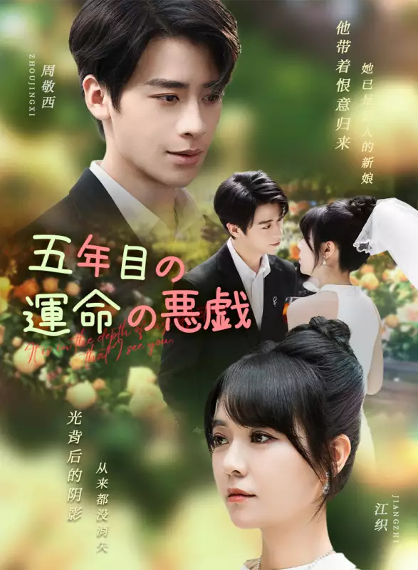 五年目の運命の悪戯ミニシリーズ