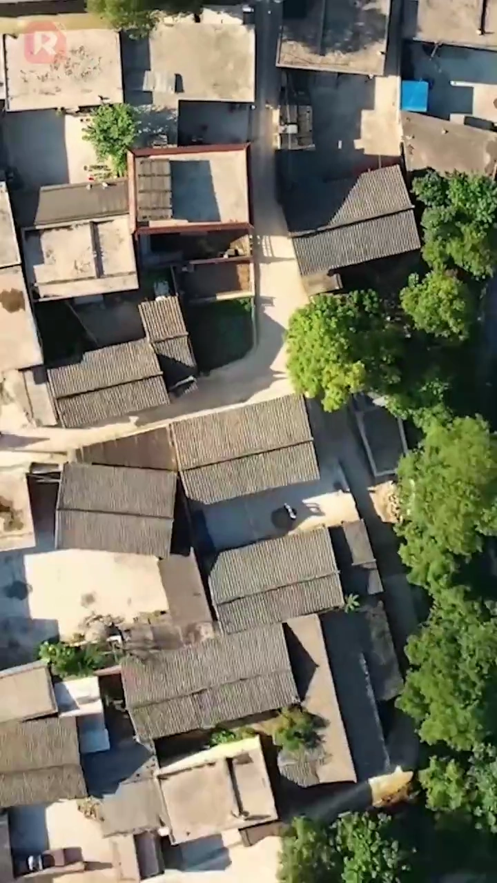 Renascida nos Anos 80: O Sucesso da Esposa de Tamanho GrandeFoto