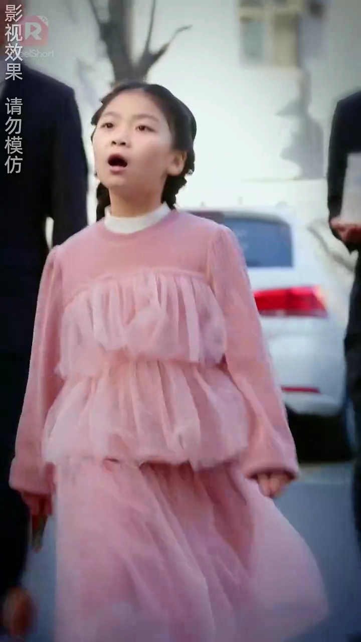 [dublado] Sr. Silva, você escolheu a pessoa erradaFoto