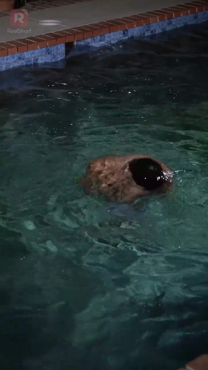 Para o meu Romeu, com amorFoto