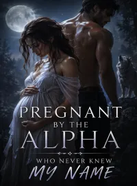 Pregnant by the Alpha Who Never Knew My Name Novel Cover