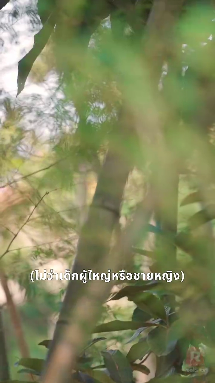 รักวุ่นของสาวคนกลางรูปภาพ