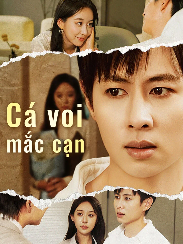 Cá voi mắc cạnPhim bộ ngắn