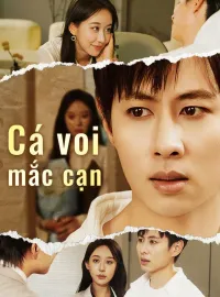 Cá voi mắc cạnPhim bộ ngắn