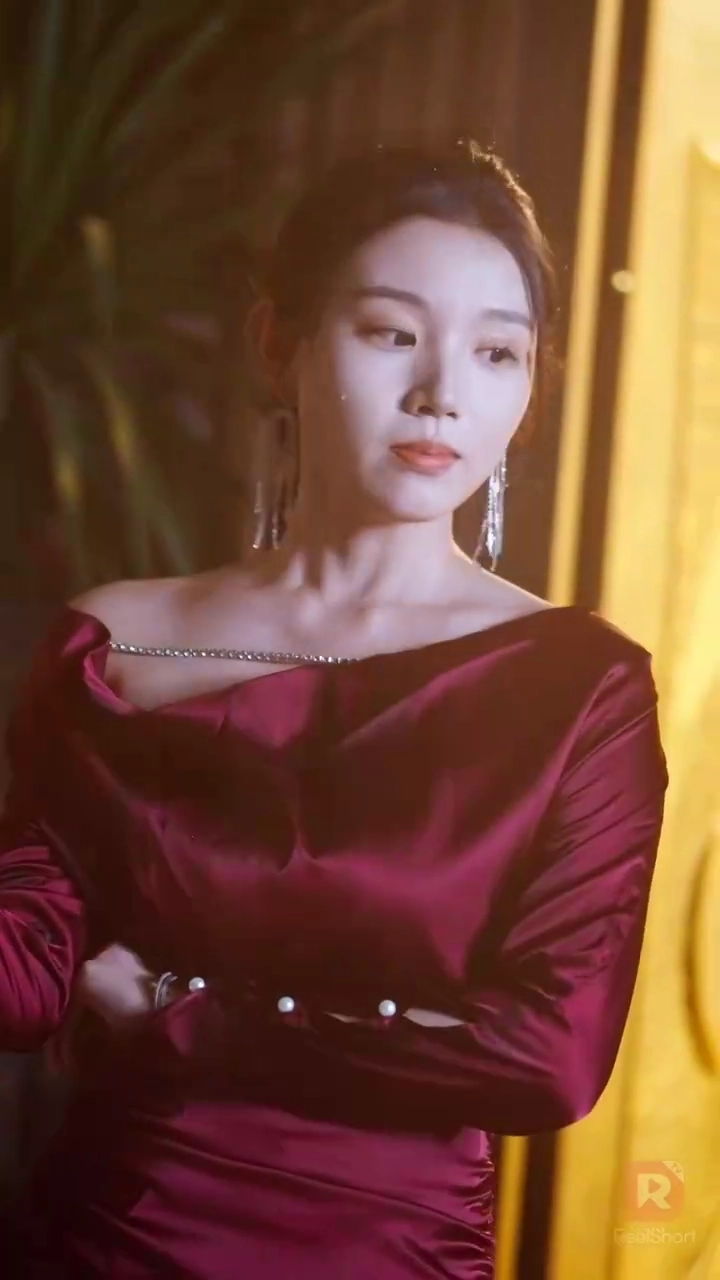 De Volta ao Meu Ex-Marido com Nossos Gêmeos GêniosFoto