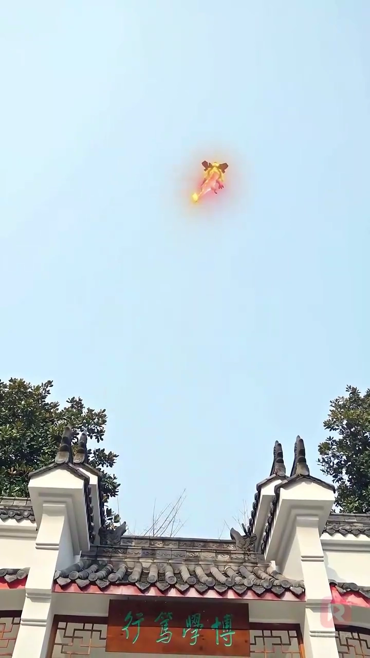 Pequeno Dragão da Sorte: NovaFoto