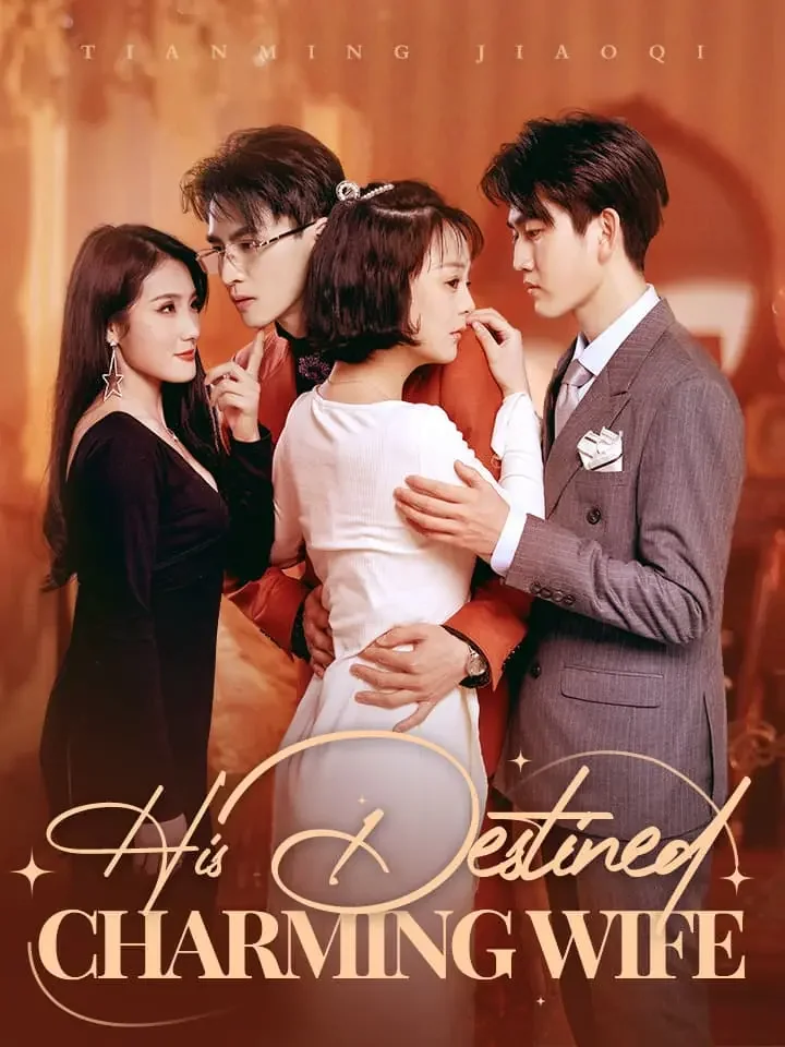 His Destined Charming WifeMini Series