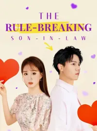 The Rule-Breaking Son-in-LawMini Series