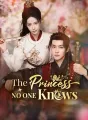 The Princess No One Knows Review