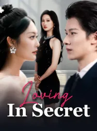 Loving In SecretMini Series