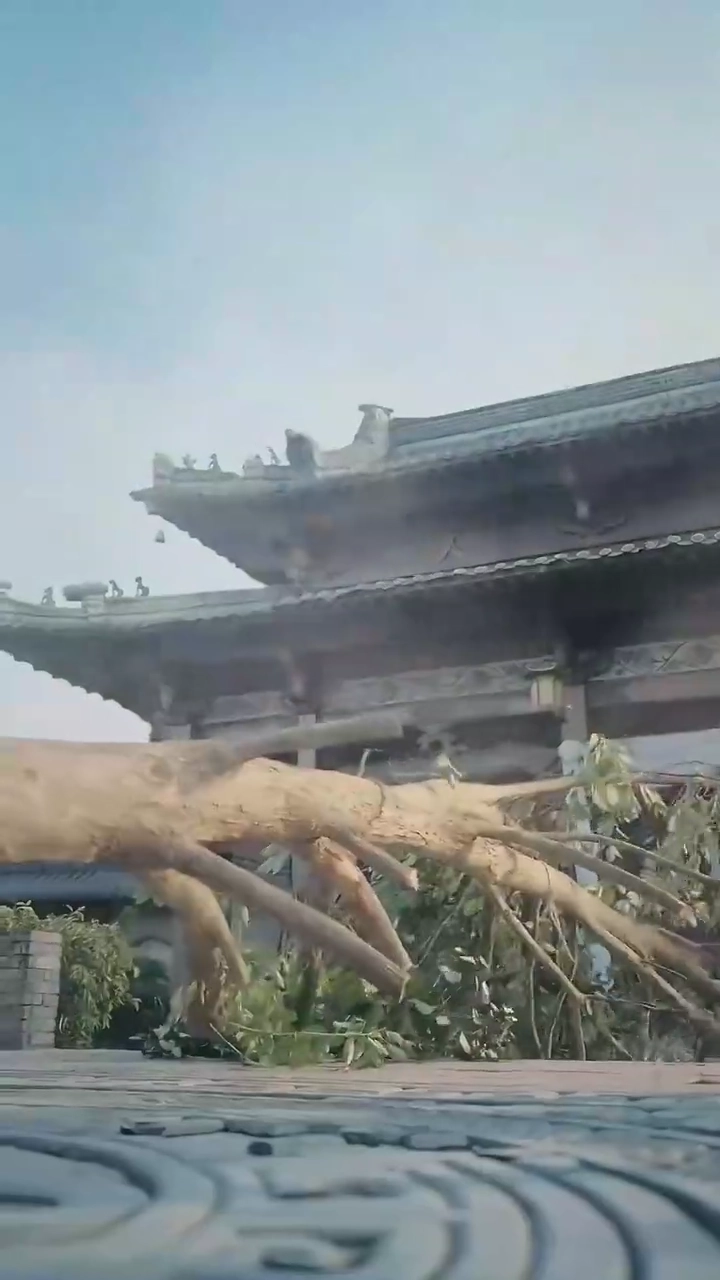 จองจำสวรรค์รูปภาพ