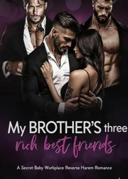 My Brother's Rich Best Friends Novel Cover