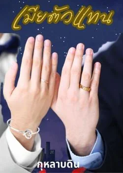 หน้าปกนวนิยาย เมียตัวแทน (Mpreg)