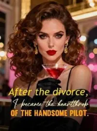 After the divorce, I became the heartthrob of the handsome pilot. Novel Cover
