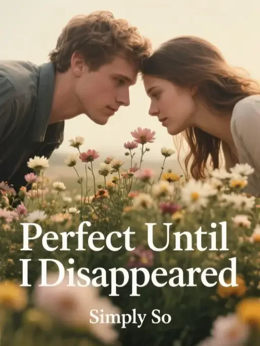 Perfect Until I Disappeared Novel Cover