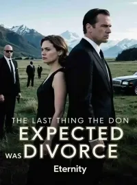 The Last Thing the Don Expected Was Divorce Novel Cover