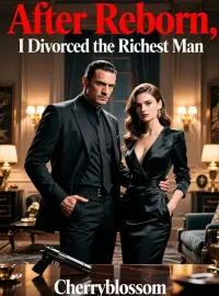 After Reborn, I Divorced the Richest Man Novel Cover