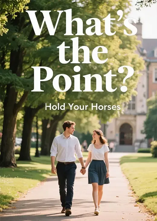 What's the Point? Novel Cover