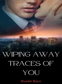 Wiping Away Traces of You Novel Cover
