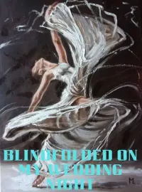 Blindfolded On My Wedding Night Novel Cover