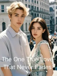 The One True Love That Never Fades Novel Cover