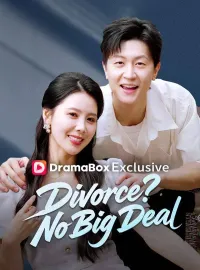 Divorce? No Big Deal (DUBBED)