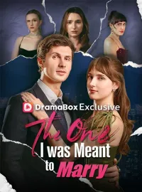 The One I was Meant to MarryMini Series