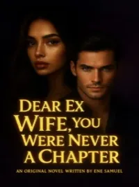 DEAR EX WIFE,YOU WERE NEVER A CHAPTER Novel Cover