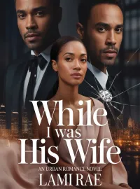 While I Was His Wife Novel Cover