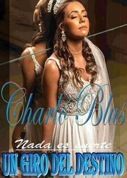 Portada de la novela Un Giro Del Destino