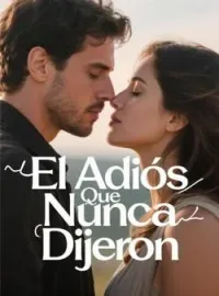El Adiós Que Nunca Dijeron