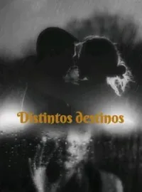 Portada de la novela Distintos destinos.