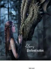 Portada de la novela Almas Predestinadas