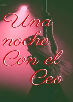 Portada de la novela Una noche con el Ceo