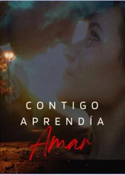 Portada de la novela Contigo aprendí a amar