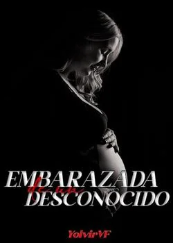 Portada de la novela EMBARAZADA DE UN DESCONOCIDO
