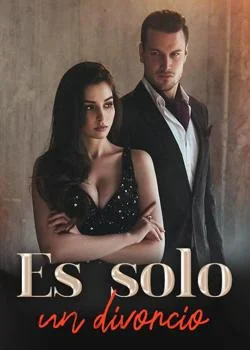 Portada de la novela Es solo un divorcio