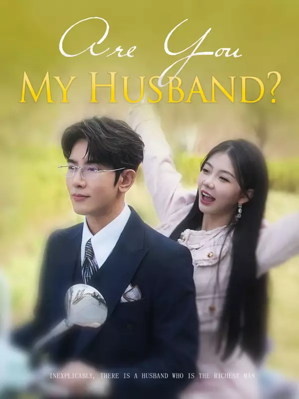 Are You My Husband Mini Series