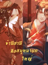 หน้าปกนวนิยาย ข้ามีสามีคือสมุหนายกใหญ่