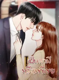 หน้าปกนวนิยาย เป็นสามีหรือพี่เขย
